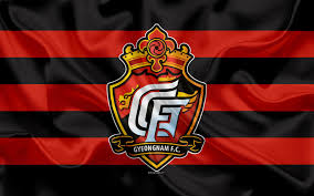 Analyzing Gyeongnam FC Playing Style